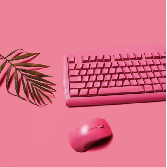 Máster en Diseño Gráfico y WordPress
